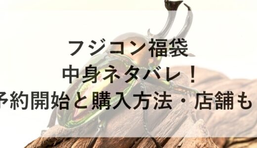 フジコン福袋2026の中身ネタバレ！予約開始と購入方法・店舗も！