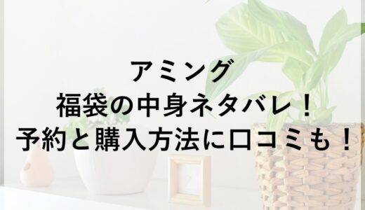 アミング福袋2026の中身ネタバレ！予約と購入方法に口コミも！