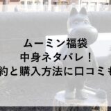 ムーミン福袋2026の中身ネタバレ！予約と購入方法に口コミも！