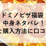 ドミノピザ福袋2026の中身ネタバレ！予約と購入方法に口コミも！