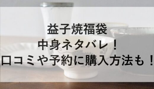 益子焼福袋2026の中身ネタバレ！口コミや予約に購入方法も！