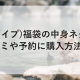 APE(エイプ)福袋2026の中身ネタバレ！口コミや予約に購入方法も！