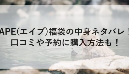 APE(エイプ)福袋2026の中身ネタバレ！口コミや予約に購入方法も！