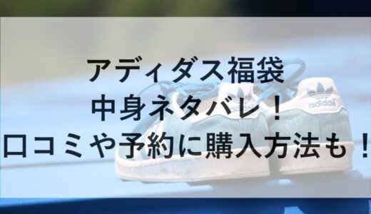アディダス福袋2026の中身ネタバレ！口コミや予約に購入方法も！