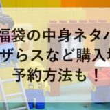 レゴ福袋2026の中身ネタバレ！トイザらスなど購入場所や予約方法も！