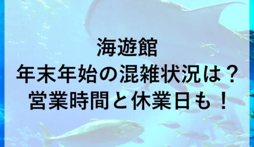 海遊館年末年始2025~2026の混雑状況は？営業時間と休業日も！