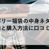 バーバリー福袋2026の中身ネタバレ！予約と購入方法に口コミも！