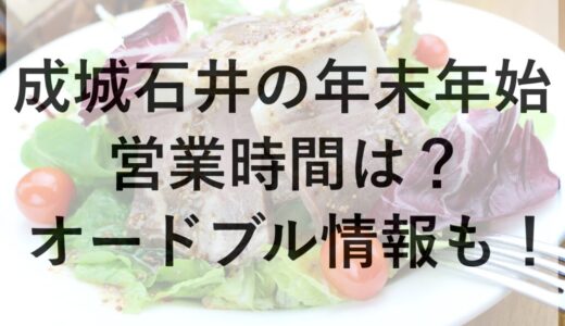 成城石井の年末年始2025~2026の営業時間は？オードブル情報も！