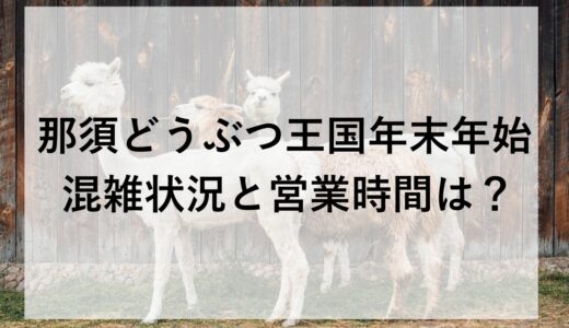 那須どうぶつ王国年末年始2025~2026の混雑状況と営業時間は？