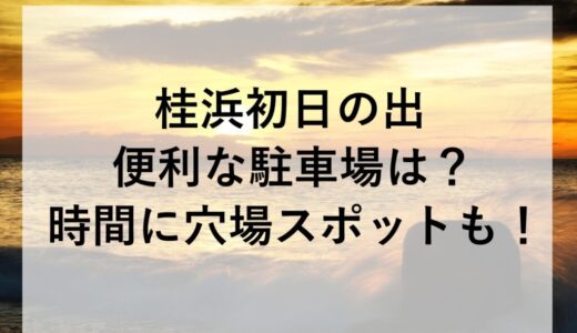桂浜初日の出2026に便利な駐車場は？時間に穴場スポットも！