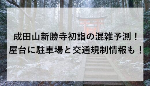 成田山新勝寺初詣2026の混雑予測！屋台に駐車場と交通規制情報も！