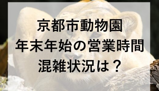 京都市動物園年末年始2025~2026の営業時間と混雑状況は？