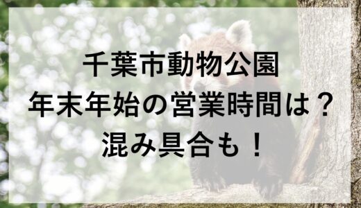 千葉市動物公園年末年始2025~2026の営業時間は？混み具合も！