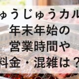 じゅうじゅうカルビ年末年始2026～2027の営業時間や料金・混雑は？