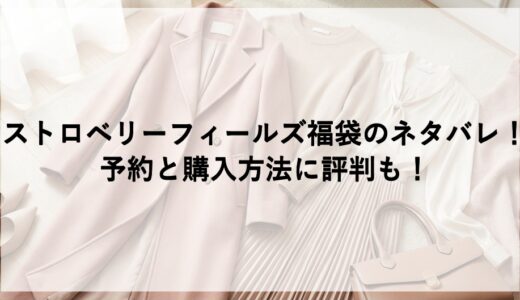 ストロベリーフィールズ福袋2027のネタバレ！予約と購入方法に評判も！