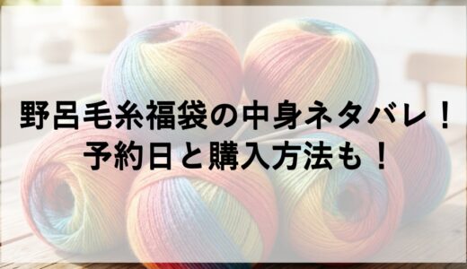 野呂毛糸福袋2027の中身ネタバレ！予約日と購入方法も！