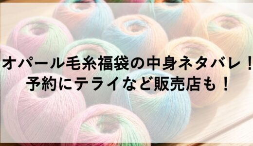 オパール毛糸福袋2027の中身ネタバレ！予約にテライなど販売店も！