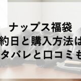ナップス福袋2027の予約日と購入方法は？ネタバレと口コミも！