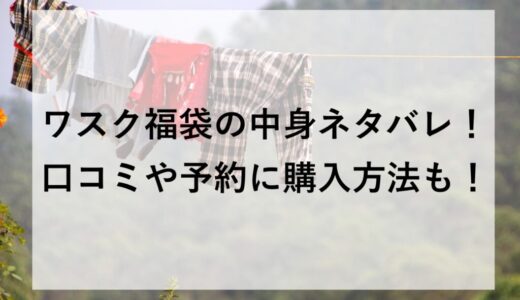 ワスク福袋2027の中身ネタバレ！口コミや予約に購入方法も！